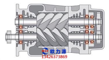 阳转子剖面图